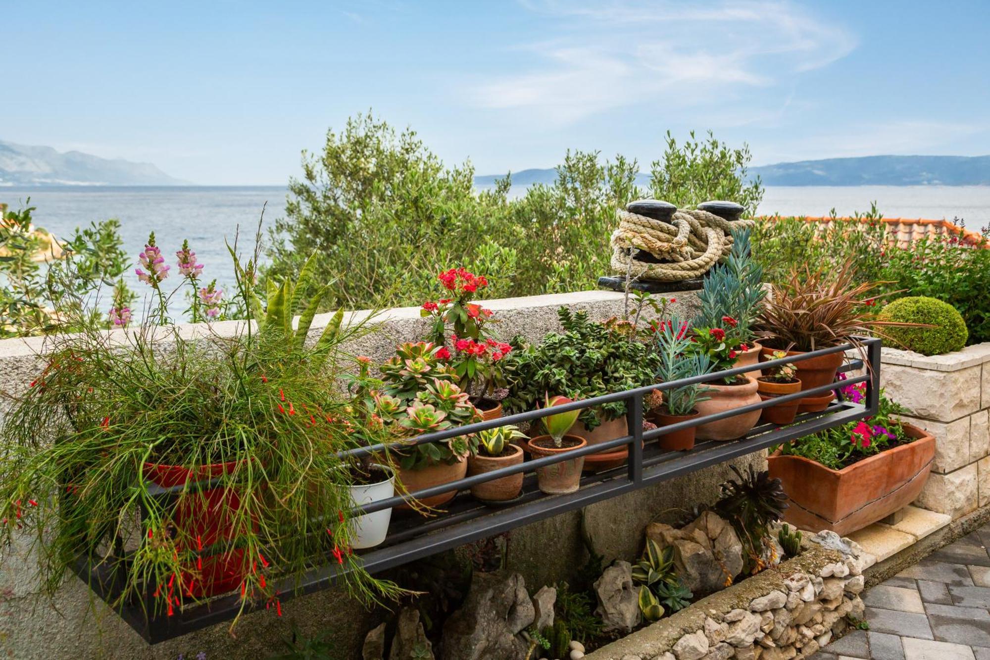 Seaside Apartment Kamelia 麦米科 外观 照片